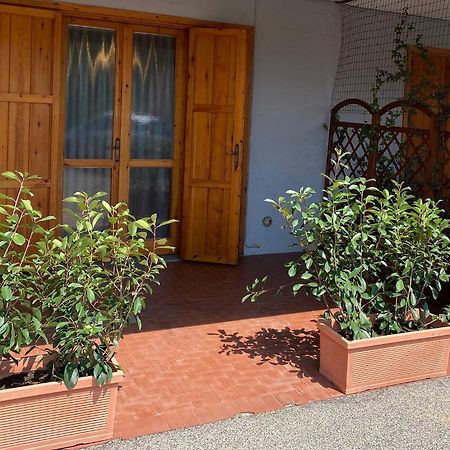 Umbria Vacanze Daire Stroncone Dış mekan fotoğraf